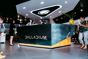 Palladium Hair Company image