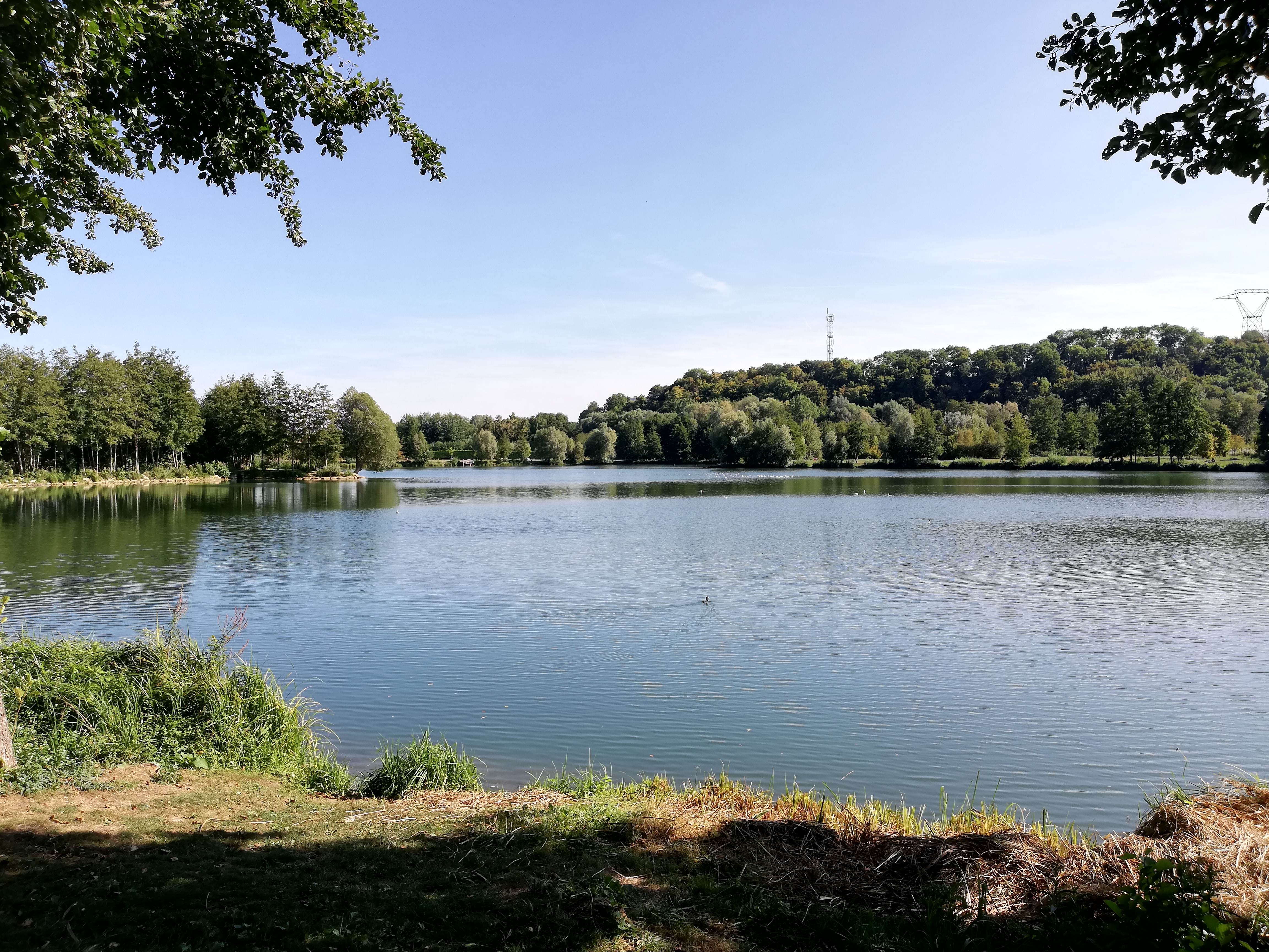 Photo n° 4 de l'avis de Olivier.e fait le 14/09/2019 à 14:52