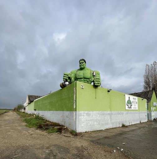 Photo 5 - BF19 - Casse Automobile