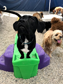 Bay View Bark - Photo 7 - Car repair in Milwaukee, WI, Milwaukee