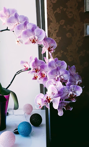 Siófok, Semmelweis u. 2, 8600