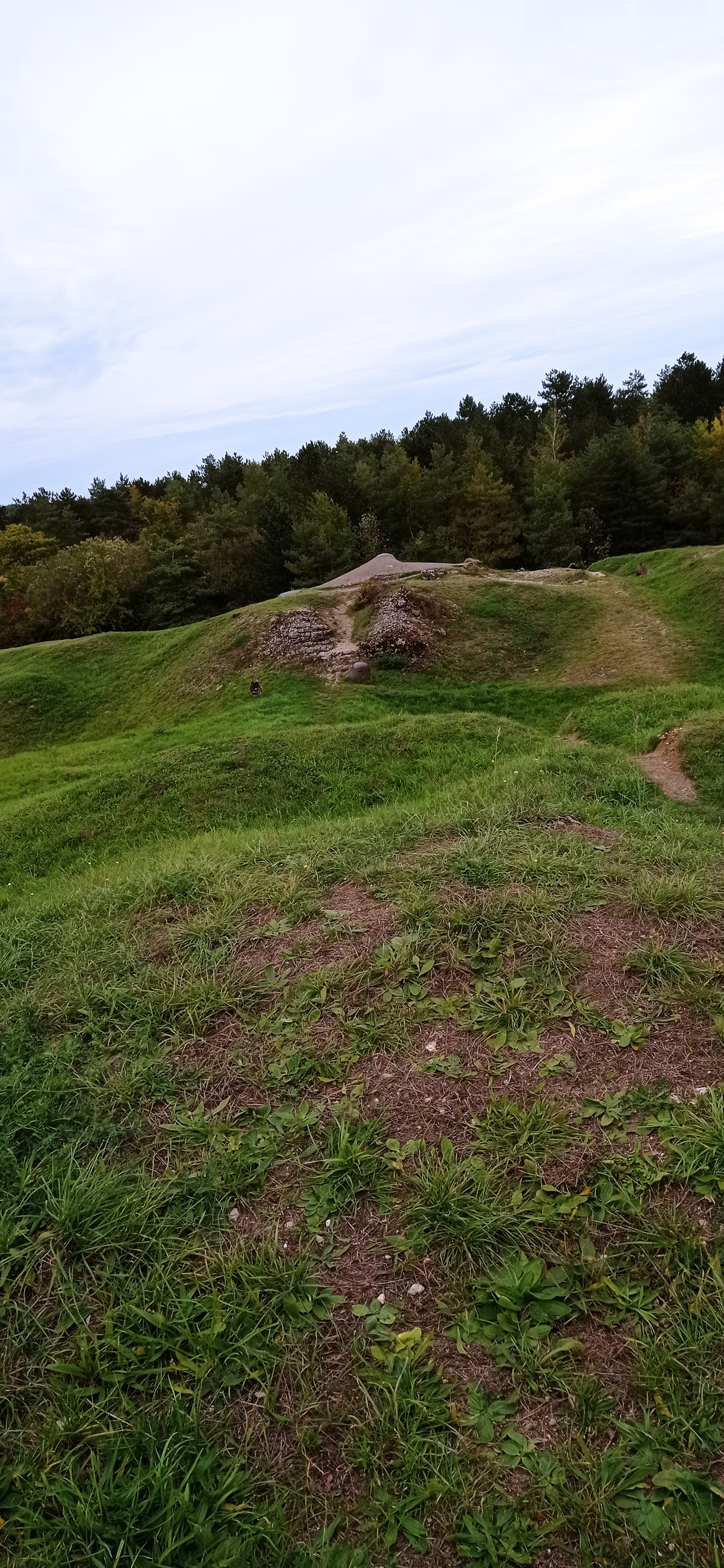 Photo n° 2 de l'avis de thierry.e fait le 02/10/2021 à 17:38