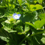 Photo n°2 de l'avis de Maurizio.a fait le 05/04/2018 à 20:09 sur le  Masseria Casale del Murgese à Savelletri