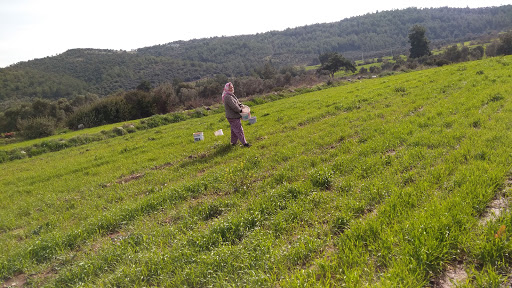 Çamovalı Mahallesi Camii