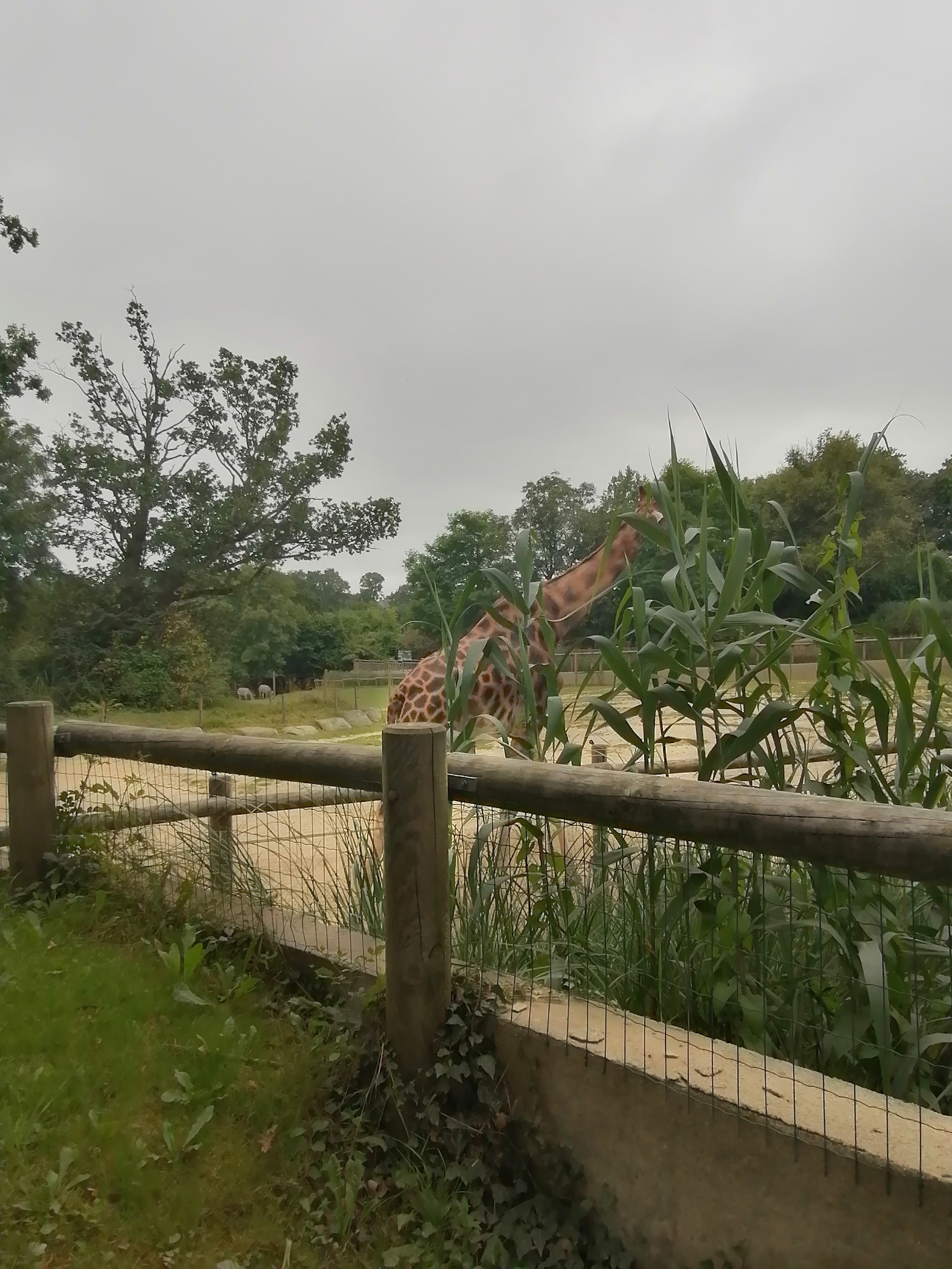 Photo n° 42 de l'avis de francis.o fait le 26/08/2021 à 14:27