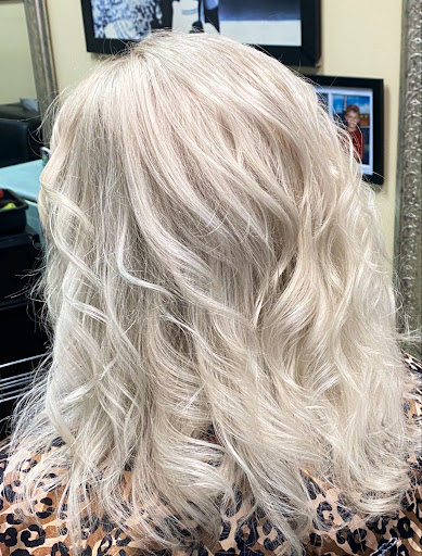 Beauty Salon «Papillon Salon & Day Spa», reviews and photos, 224B S Loop 336 W, Conroe, TX 77304, USA