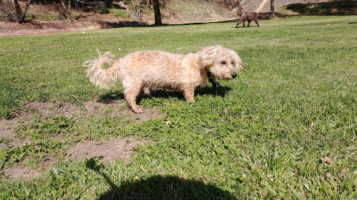 Park «Ernest E. Debs Regional Park», reviews and photos, 4235 Monterey Rd, Los Angeles, CA 90032, USA