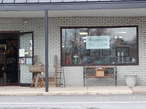 Grapevine Antiques & Craft, 137 Erin Ln, Brodheadsville, PA 18322, USA, 