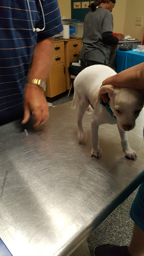 Pet Supply Store «Petco Animal Supplies», reviews and photos, 2722 N Josey Ln #107, Carrollton, TX 75007, USA