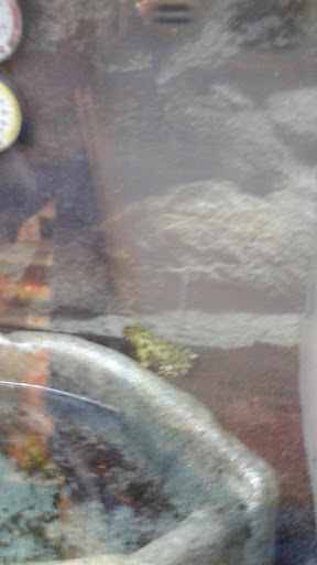 Pet Supply Store «Petco Animal Supplies», reviews and photos, 377 W Jackson St #11, Cookeville, TN 38501, USA