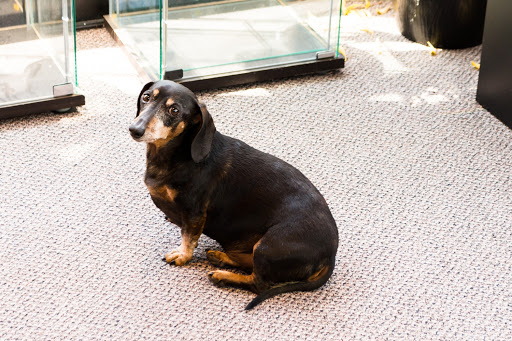 Jeweler «Zest Jewelry Artists», reviews and photos, 16 Patton Ave, Asheville, NC 28801, USA