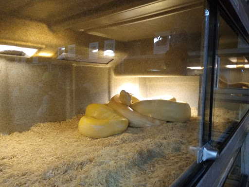 Animal Rescue Service «McCarthys Wildlife Sanctuary», reviews and photos, 12943 61st St N, West Palm Beach, FL 33412, USA