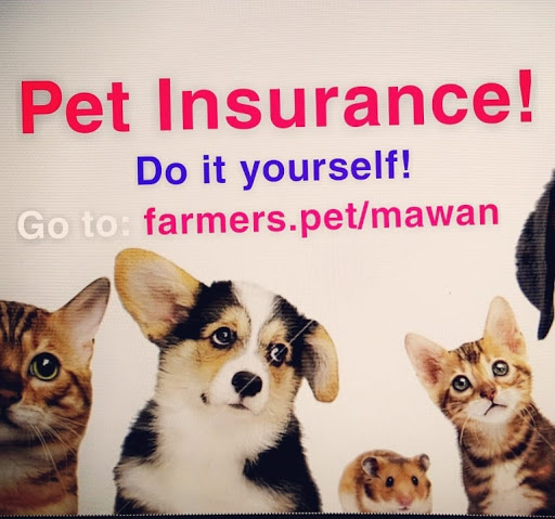 Farmers Insurance - Shahbaz Awan image