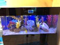 GREAT BARRIER REEF - Photo 7 - Car repair in Parker, CO, Aurora