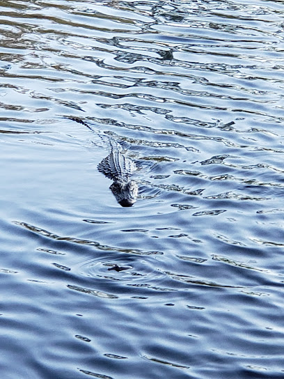 Audubon Bird Sanctuary