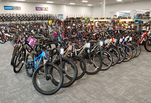 Bicycle Store «Martins Bike Shop», reviews and photos, 1891 Division Hwy, Ephrata, PA 17522, USA