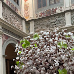 Photo n°4 de l'avis de Islam.u fait le 13/02/2022 à 20:03 sur le  Four Seasons Hotel Firenze à Florence