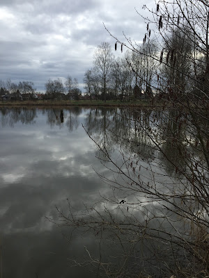 Etang des Nonettes à Pecquencourt