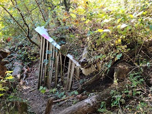 Cape Horn Trail - photo 29