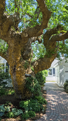 Winery «Truro Vineyards + South Hollow Spirits», reviews and photos, 11 Shore Rd, North Truro, MA 02652, USA