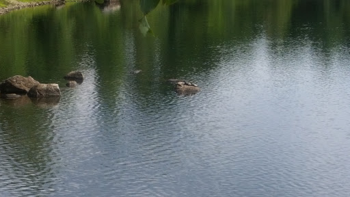 Park «NARA Park», reviews and photos, 25 Ledge Rock Way, Acton, MA 01720, USA