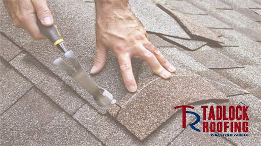 Roofing Contractor «Tadlock Roofing», reviews and photos