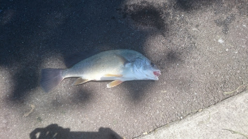 Park «Broderick Park», reviews and photos, 1170 Niagara St, Buffalo, NY 14213, USA