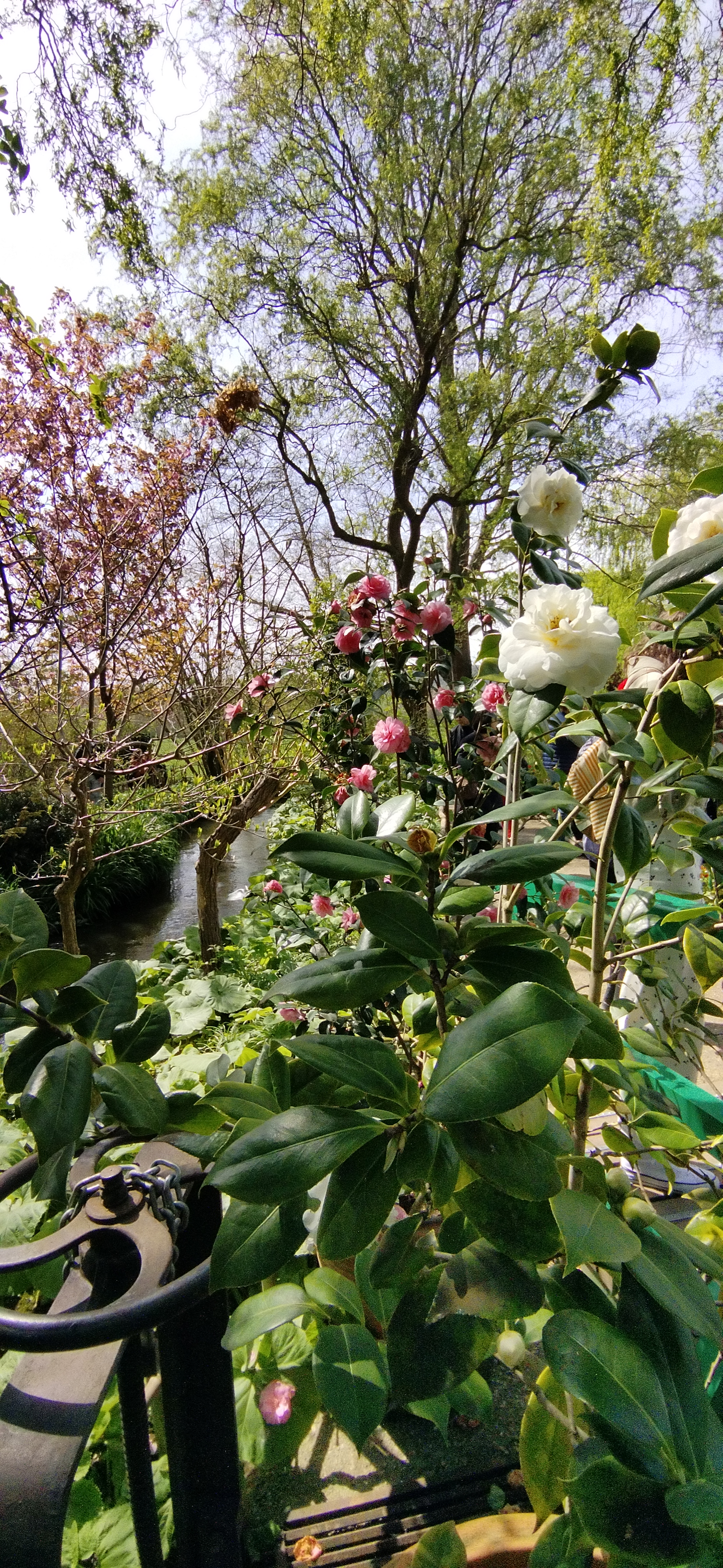 Photo n° 26 de l'avis de PHILIPPOT.a fait le 16/04/2023 à 17:54