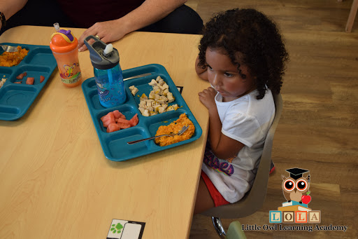 Day Care Center «Little Owl Learning Academy», reviews and photos, 10911 Fox Wood Commerce Dr, New Port Richey, FL 34655, USA