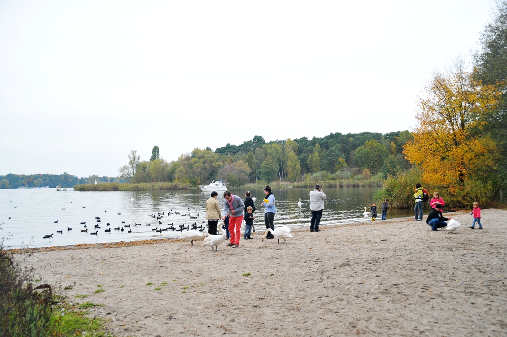 Zdjęcie Badestelle Lieper Bucht z direct beach