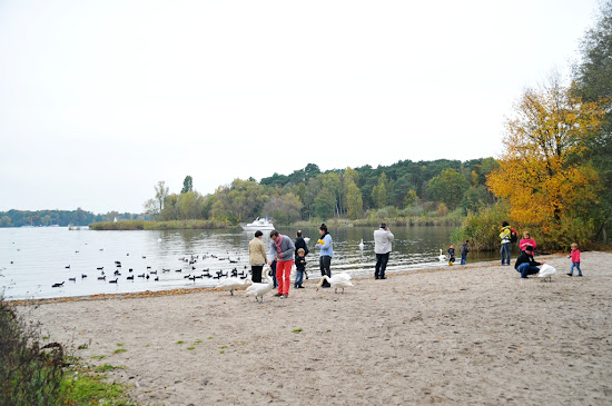 Badestelle Lieper Bucht