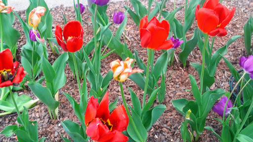 Theater Company «Michigan Theater», reviews and photos, 603 E Liberty St, Ann Arbor, MI 48104, USA