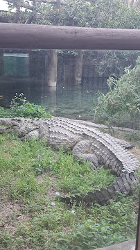 Busch Gardens Pet Kennel - Photo 6 - Car repair in Tampa, FL, Tampa