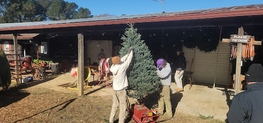 Deerwoods Christmas Tree Farm
