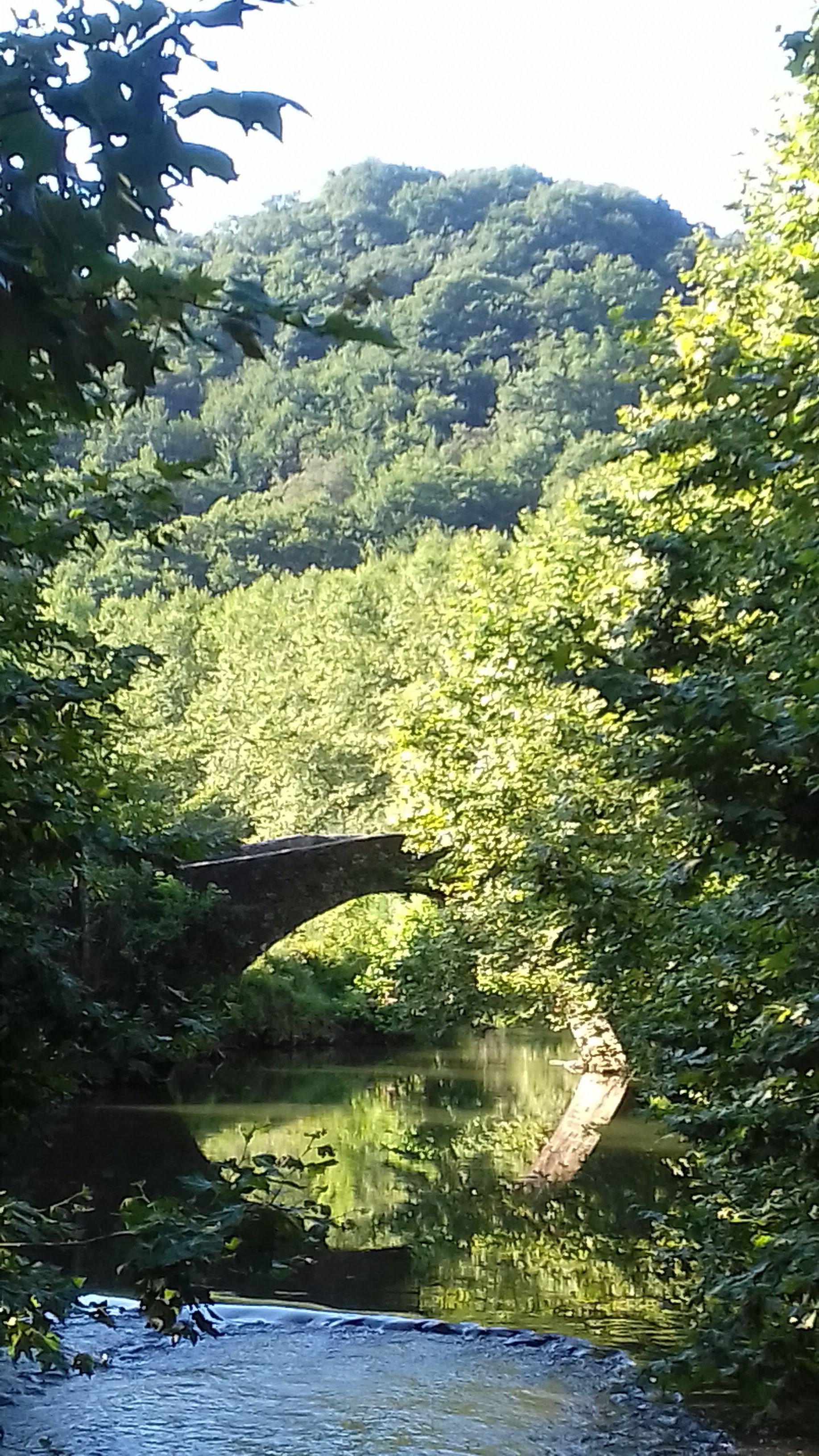 Photo n° 1 de l'avis de Breizh.b fait le 03/08/2019 à 10:30