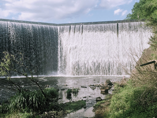 Park «East Rock Park», reviews and photos, 41 Cold Spring St, New Haven, CT 06511, USA