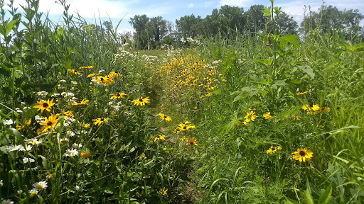 Nature Preserve «Bluff Spring Fen», reviews and photos, Spring Grove Ave, Elgin, IL 60120, USA