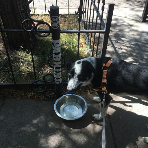 Coffee Shop «Dazbog Coffee», reviews and photos, 1201 E 9th Ave, Denver, CO 80218, USA