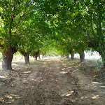Photo n°3 de l'avis de Gianluca.o fait le 29/10/2018 à 06:42 sur le  La Casa del Gelso Ristorante - Country House à Citta' Sant'Angelo