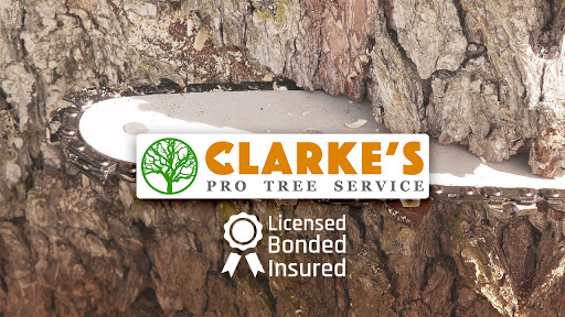 Clarke's Pro Tree Service