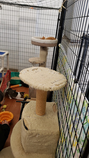 Animal Shelter «HELP the Animals, Inc», reviews and photos, 2101 W Main St, Richmond, IN 47374, USA