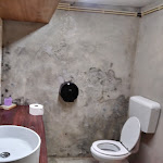 Photo n°6 de l'avis de arianna.i fait le 06/05/2018 à 21:05 sur le  Restaurante Alxama à Quarteira