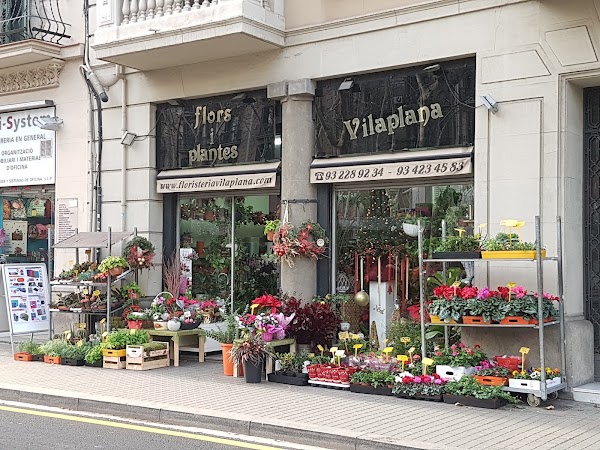 Floristería Vilaplana