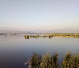 Lagunas Reserva Ecologica photo