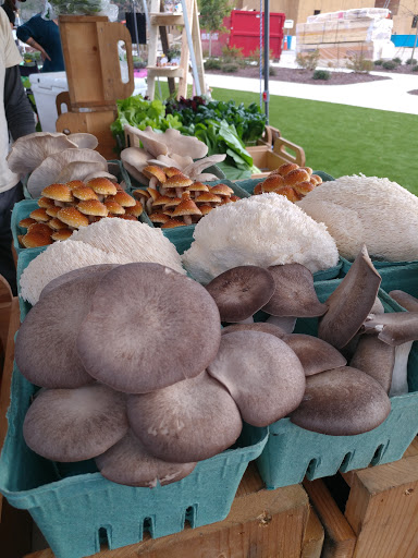 Grocery Store «Tidal Creek Co-op», reviews and photos, 5329 Oleander Dr # 100, Wilmington, NC 28403, USA