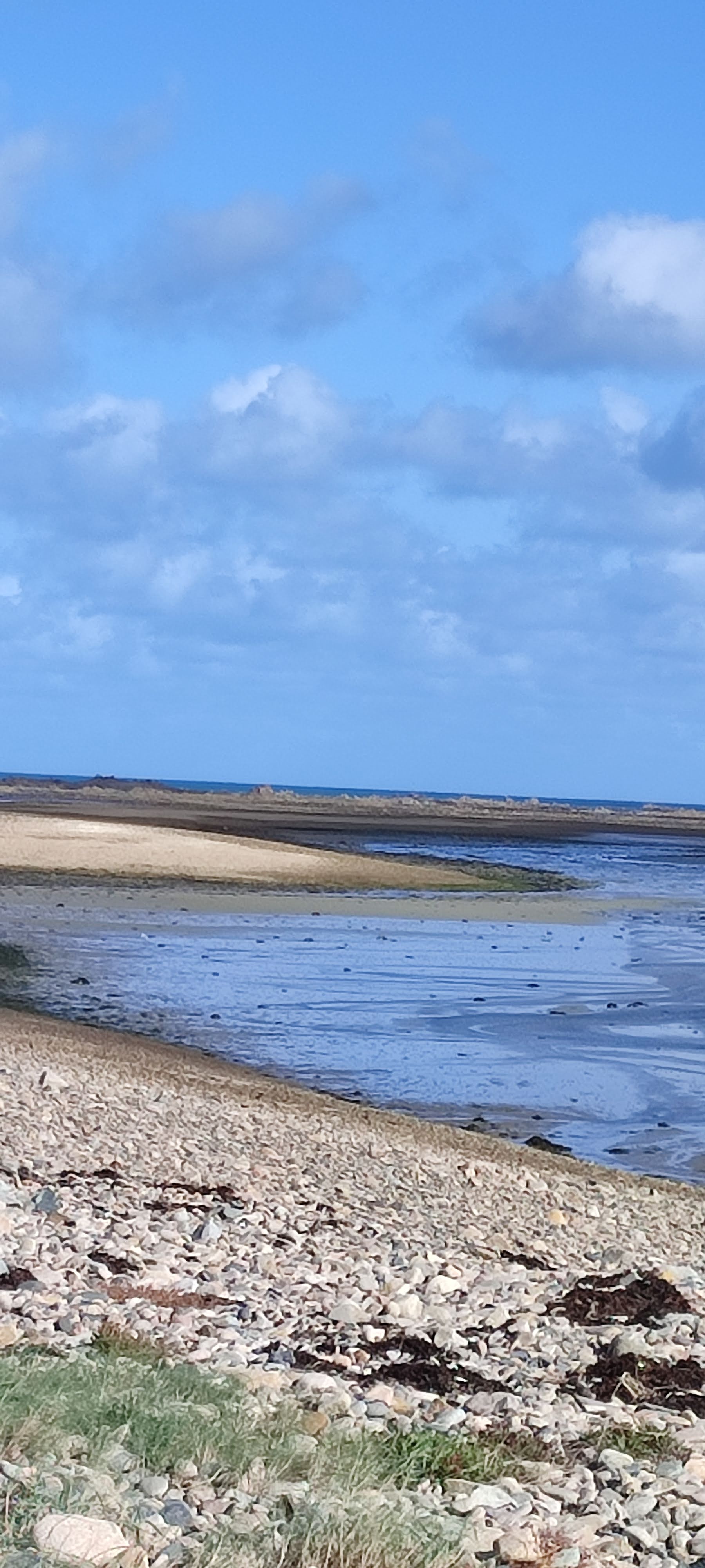 Photo n° 2 de l'avis de C.u fait le 05/10/2023 à 18:42