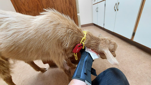 Jackson Animal Clinic image