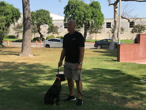 OffLeash SoCal Dog Training - Long Beach