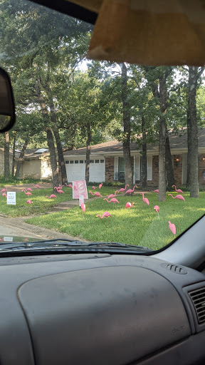 Park «Jaycee - Baker Park», reviews and photos, 500 Belmont Dr, Hurst, TX 76053, USA