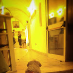 Photo n°2 de l'avis de Giuseppe.a fait le 14/09/2021 à 13:16 sur le  Il girone dei golosi - Trattoria di tradizione - NARDÒ à Nardò